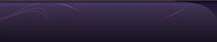 background category section